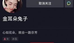 圈内爆料娱乐圈离婚,揭秘明星婚姻背后的真相